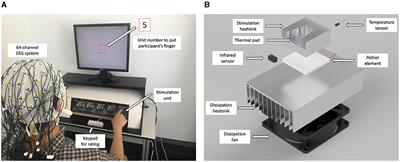 Neural correlates of thermal stimulation during active touch